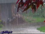 بارش پراکنده باران در شمال و جنوب کشور
